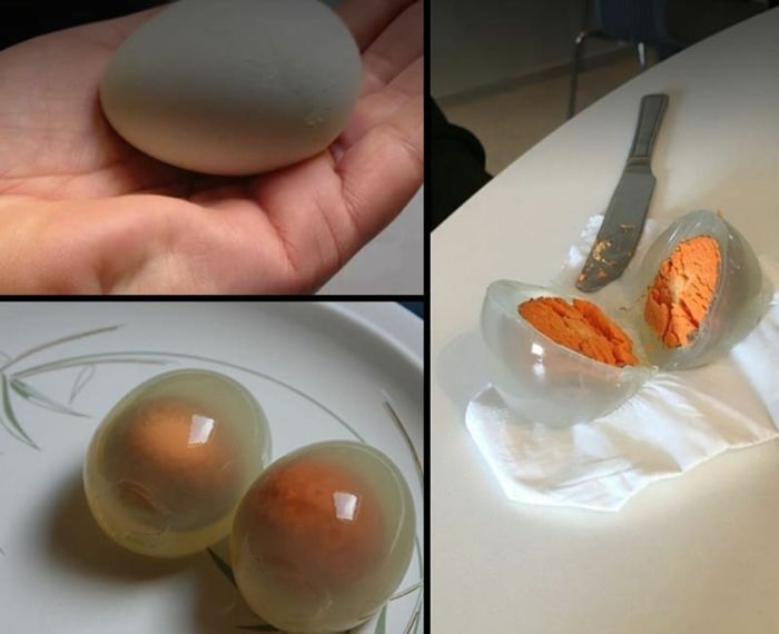Яйца с газированной водой. Необычные яйца. Необычные куриные яйца. Белок яйца.